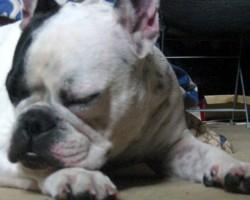 Faut dire qu'entre la couette.. Faut dire qu'entre la couette..