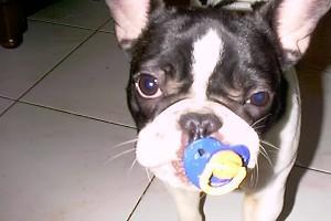 Raymond à 10 mois