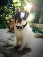 Rosy's à 1 an 1/2 Rosy's à 1 an 1/2