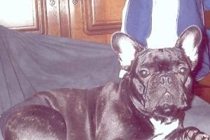 Sally à 1 an 1/2 Sally à 1 an 1/2