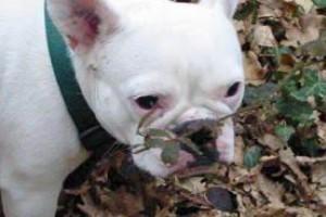 Sidonie1 à 14 mois Sidonie1 à 14 mois