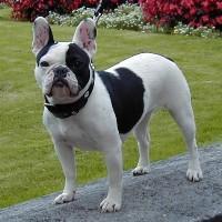 Sidonie2 à 2 ans Sidonie2 à 2 ans