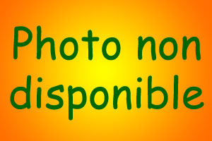 Aucune photo de Tess disponible Aucune photo de Tess disponible