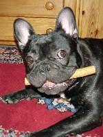 Théodore1 à 11 mois