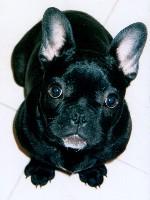 Tiny à 8 mois Tiny à 8 mois