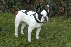 Tosiris à 9 mois Tosiris à 9 mois