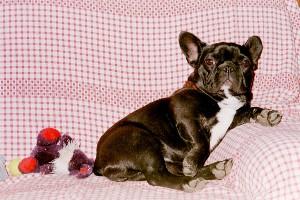 Tristane à 10 mois Tristane à 10 mois