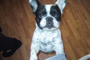 Twister à 8 mois Twister à 8 mois