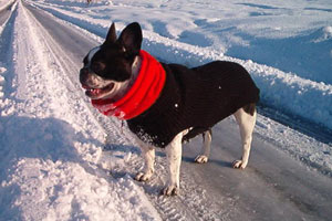 Baghéra à 22 mois Baghéra à 22 mois