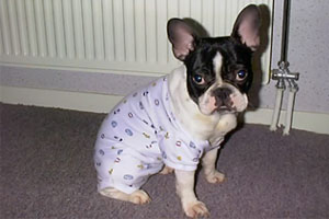 Raymond à 1 an et demi Raymond à 1 an et demi