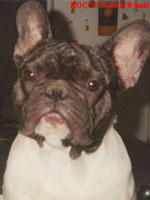 Rocco à 3 ans et 9 mois