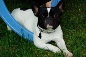 Trotinette à 8 mois