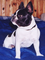 Twix à 8 mois et demi Twix à 8 mois et demi