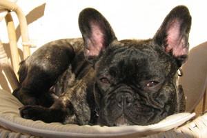 Ugo à 1 an et 1 mois