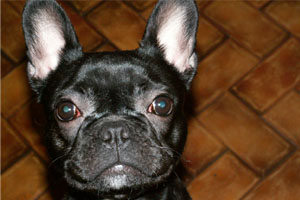 Katy à 1 an Katy à 1 an