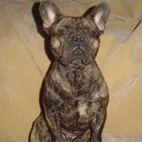 Nelson à 2 ans et demi