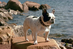 Nouchka à 7 ans Nouchka à 7 ans