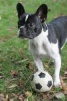 Un ange passe... Un ange passe...