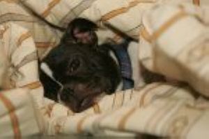 Ne suis-je pas jolie? Ne suis-je pas jolie?