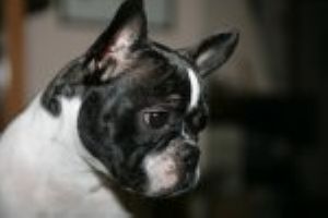 Vraiment pas moyen de dormir! Vraiment pas moyen de dormir!