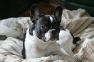 Si ils comptent sur moi pour faire la mère Noël, raté Si ils comptent sur moi pour faire la mère Noël, raté