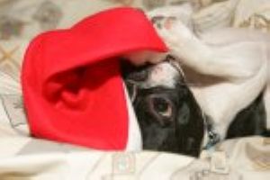 Je suis la reine, hips. Hein? Non j'ai rien bu Je suis la reine, hips. Hein? Non j'ai rien bu