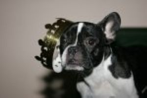 Bon allez, hop, faut faire le ménage Bon allez, hop, faut faire le ménage