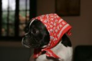 Pas mauvaise ta nouvelle recette... Pas mauvaise ta nouvelle recette...