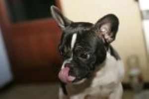 Pas de commentaire. Pas de commentaire.