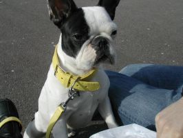 Pas de commentaire. Pas de commentaire.