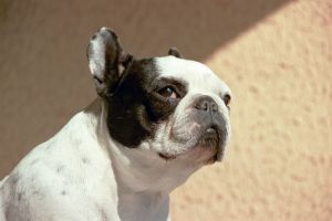 La mer moi j'aime ça La mer moi j'aime ça