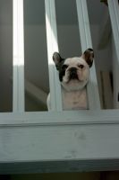 Les vacances c'est comme ça Les vacances c'est comme ça