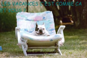 Top modèle Top modèle