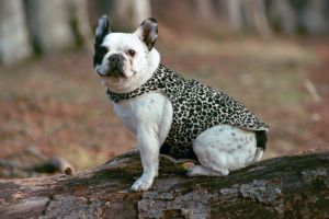 Bon maintenant ça suffit je dors Bon maintenant ça suffit je dors