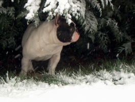 Pas de commentaire. Pas de commentaire.