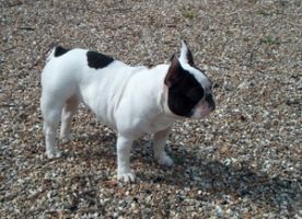 Pas de commentaire. Pas de commentaire.