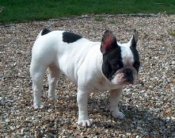 Pas de commentaire. Pas de commentaire.