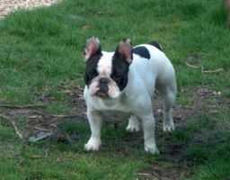 Pas de commentaire. Pas de commentaire.