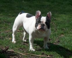 Pas de commentaire. Pas de commentaire.