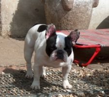 Pas de commentaire. Pas de commentaire.