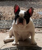 Pas de commentaire. Pas de commentaire.