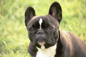 Mon meilleur profil! Mon meilleur profil!