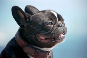 La plage j'aime oui mais à l'ombre des rochers La plage j'aime oui mais à l'ombre des rochers