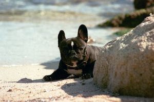 C'est pour un bisous C'est pour un bisous