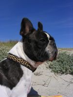 Pas de commentaire. Pas de commentaire.