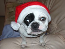 Pas de commentaire. Pas de commentaire.