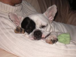 Pas de commentaire. Pas de commentaire.