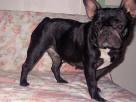 Tékila à 2 ans Tékila à 2 ans