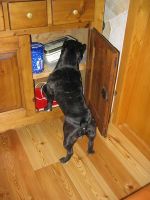 1er prix de gourmandise! 