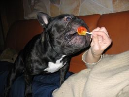 1er prix de paresse!